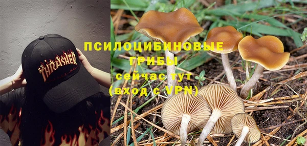 гашик Балахна