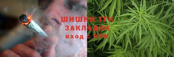 PSILOCYBIN Балабаново