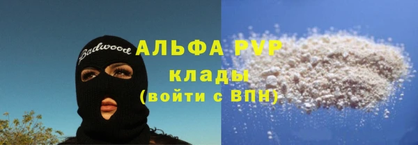 PSILOCYBIN Балабаново