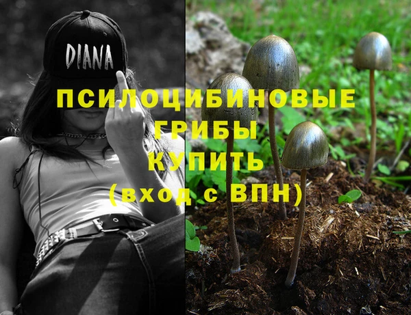PSILOCYBIN Балабаново