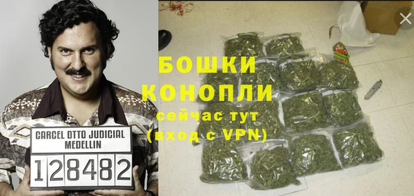 PSILOCYBIN Балабаново