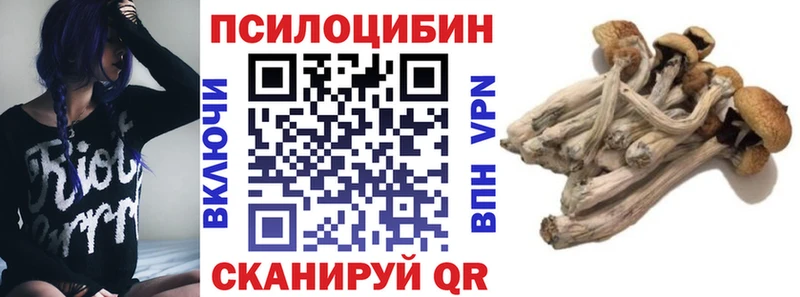 Галлюциногенные грибы мицелий  сколько стоит  Светогорск 